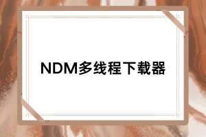 [PC软件]NDM多线程下载器-小怪兽资源